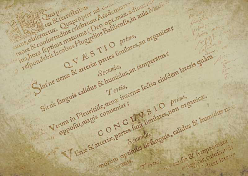 The Art of&nbsp;Connection